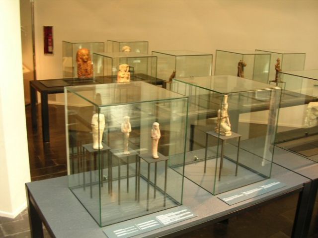 Glass showcases for exhibitions 